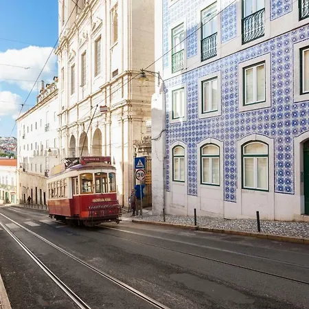 Flh Amazing View Bright Flat *